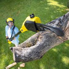 Best Leaf Removal  in Jurupa Valley, CA